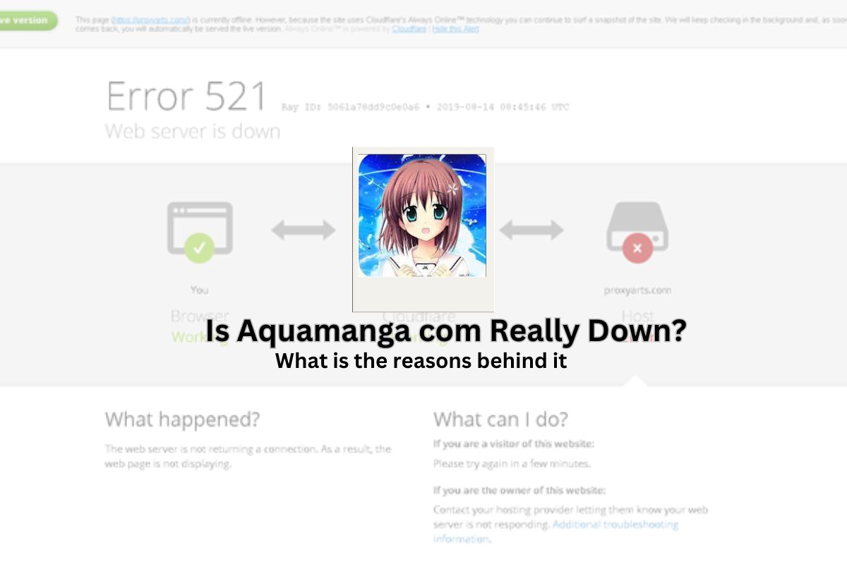 Is Aquamanga com Down