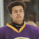 Tragedy Strikes as Teen Hockey Player Dies from Stray Bullet on Interstate 55